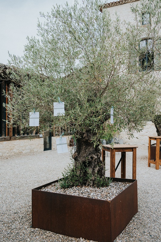 Plan de table de mariage suspendu dans un olivier au Clos des Charmes